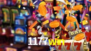 1177win App Interface